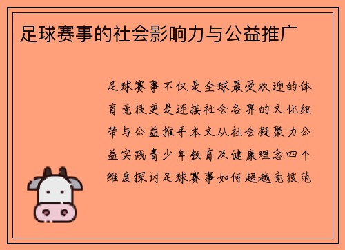 足球赛事的社会影响力与公益推广